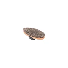Bruza exclusiva Waldhausen