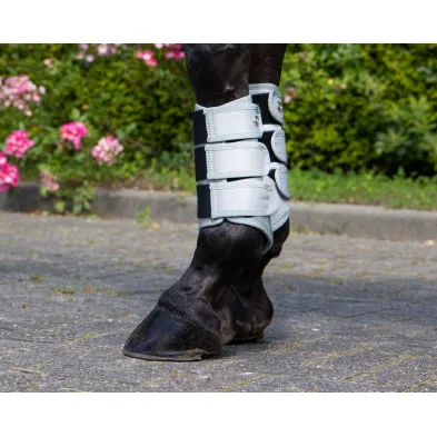 Protectores de doma,Havana