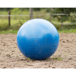 Pelota grande para caballos