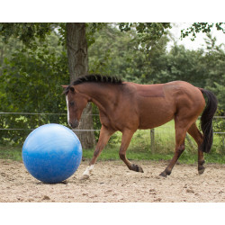 Pelota grande para caballos