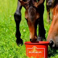 KEVIN BACONS HOOF FORMULA 5 KG