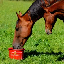 KEVIN BACONS HOOF FORMULA 5 KG