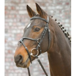 Bridle Mexico City crossnoseband