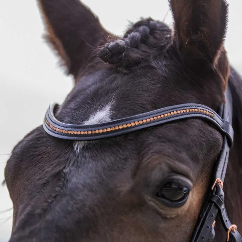 Brida negra/rosegold ergonómica