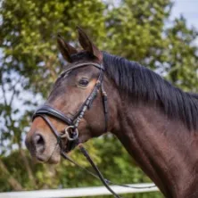 Brida negra/rosegold ergonómica