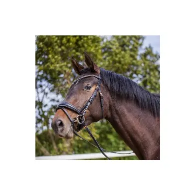 Brida negra/rosegold ergonómica