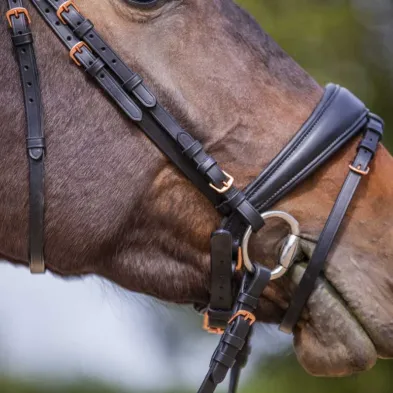 Brida negra/rosegold ergonómica