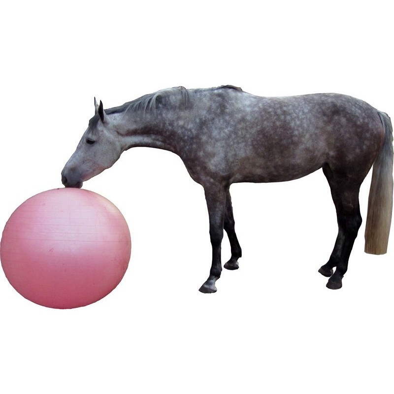 Pelota grande para caballos