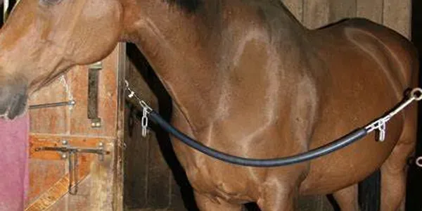 Cadenas para boxes de caballos o cuadra