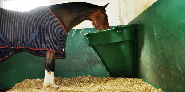 Comederos para caballos - equipos para cuadra y boxes