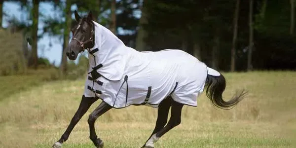 Protección contra moscas para caballos